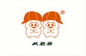 亞美達(dá)股份客戶(hù)雙胞胎